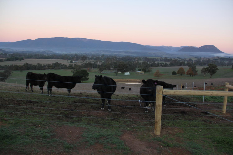 Others 5, Drom Aluinn B & B, Murrindindi - East