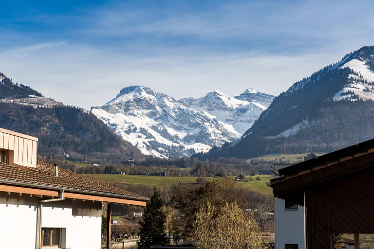 Exterior & Views 5, Superior Apartment Sarnen, Obwalden