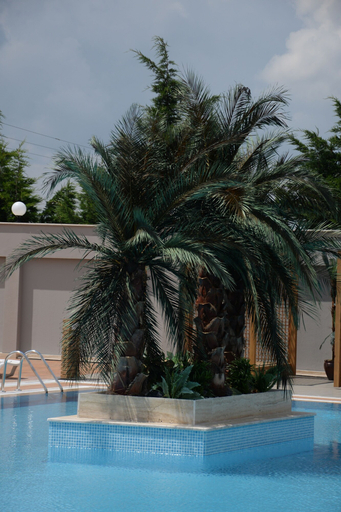 Sport & Beauty 5, Yayoba Hotel, Merkez