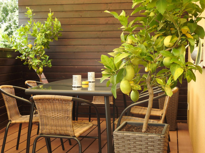 Others 3, Family Deluxe Apartments, Eger