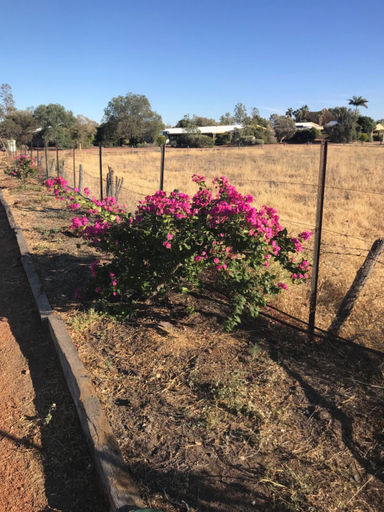 Others 4, Outback Adventures, Longreach