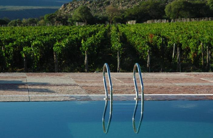 Sport & Beauty 5, Estancia Colome, Molinos