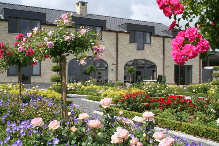 Others 4, B&B La Vie En Roses, Oost-Vlaanderen
