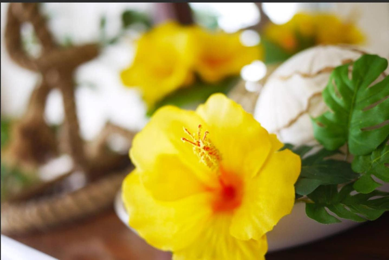 Food & Drinks 4, B14【Wing Mihama】5 Bedroom near Beach, Shop & Rest., Chatan