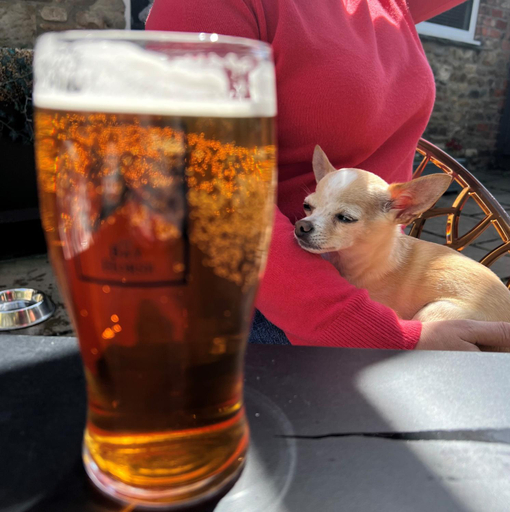 Food & Drinks 4, The Bay Horse, Masham, North Yorkshire