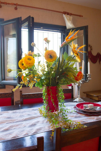 Others 5, Ananda Spa Villa in Nies, Thessaly