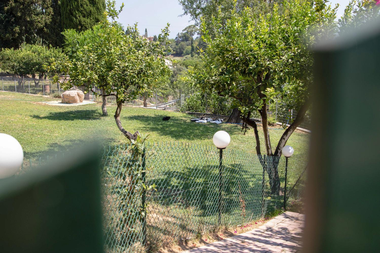 Garden 3, The Red Bougainvillea Apartments, Ionian Islands