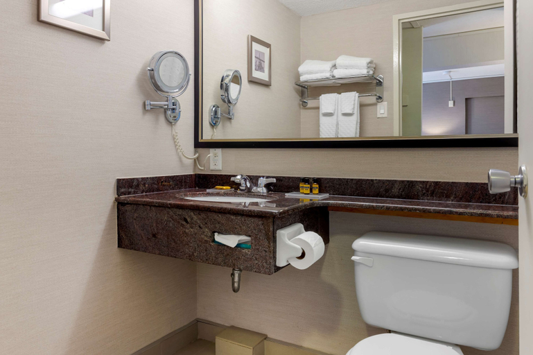 Bathroom 4, Best Western Plus Gatineau-Ottawa Downtown, Communauté-Urbaine-de-l'Outaouais