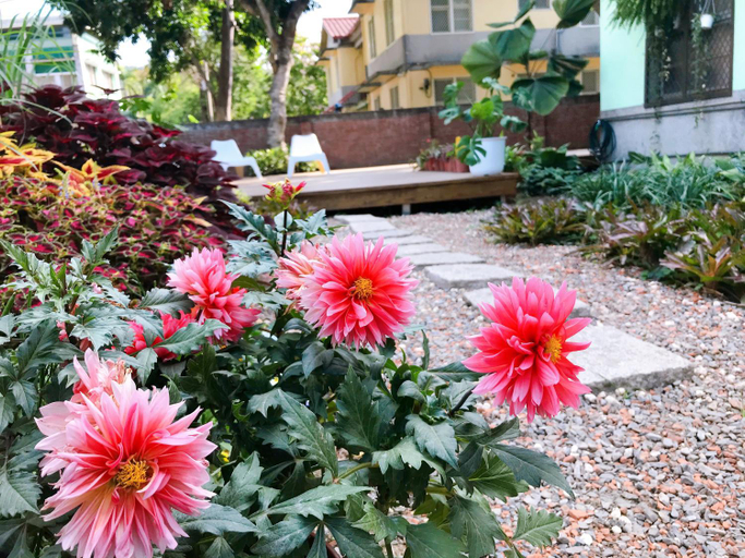 Others 2, Little Garden Dream Life Home, Nantou