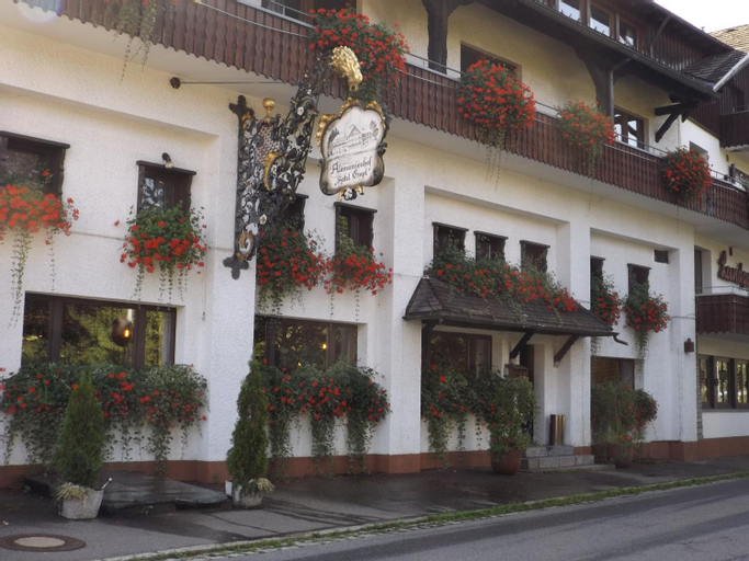 Alemannenhof Hotel Engel, Waldshut
