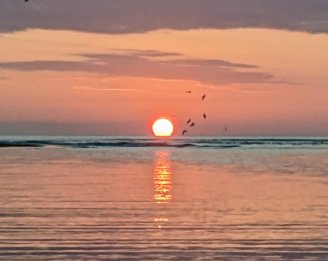 Others 5, Salvatierra Beachfront Hotel, Nandayure
