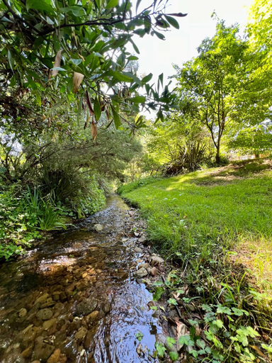 Others 5, Westwood Lodge, Alpine - East