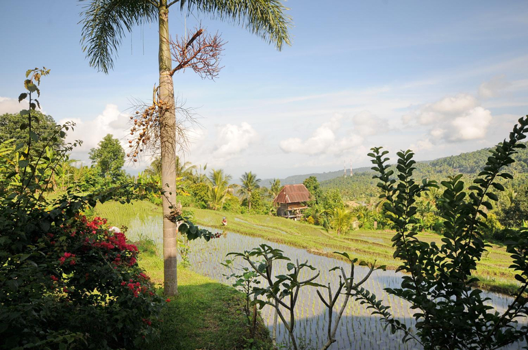 View 3, Lesong Hotel and Restaurant, Buleleng