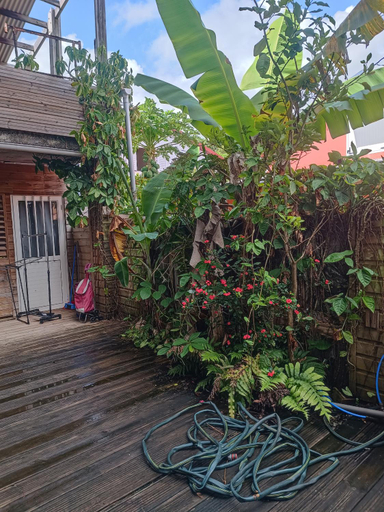 Exterior & Views 1, Pension Cargo, Bras-Panon