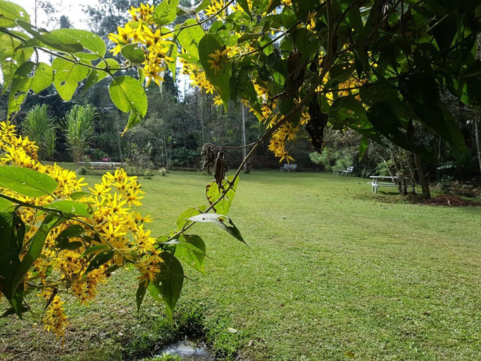 Others 4, Paraiso San Jose, Santa Cruz Verapaz
