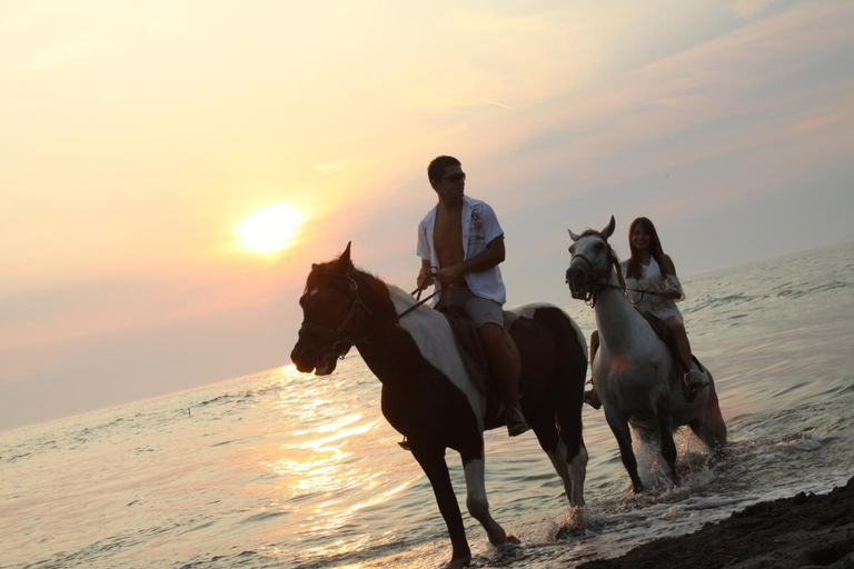 Others 5, Ada Bojana - FKK island