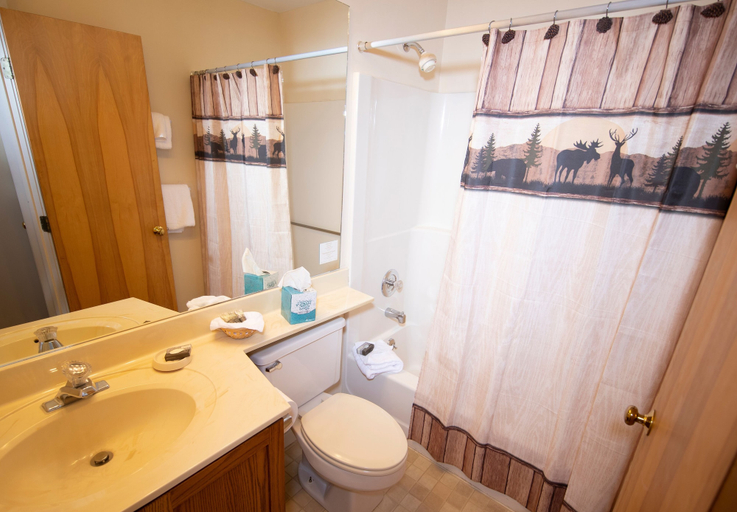Bathroom, Mountain Lodge At Okemo-1br Fireplace & Updated Kitchen 1 Bedroom Condo by RedAwning, Windsor