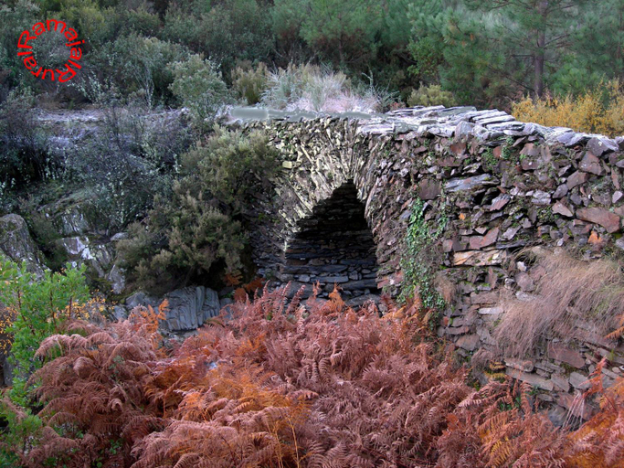 Surrounding environment 3, Ramajal Rural, Cáceres