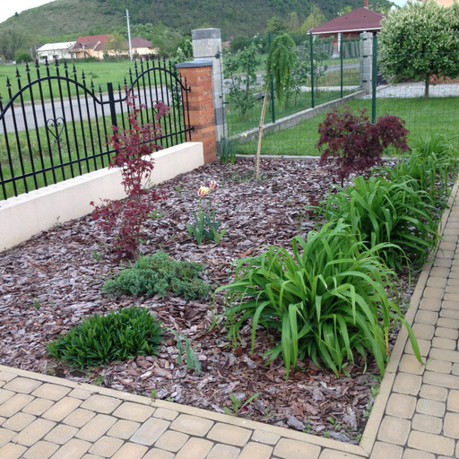 Others 5, VIDOR Vendeghaz, Eger