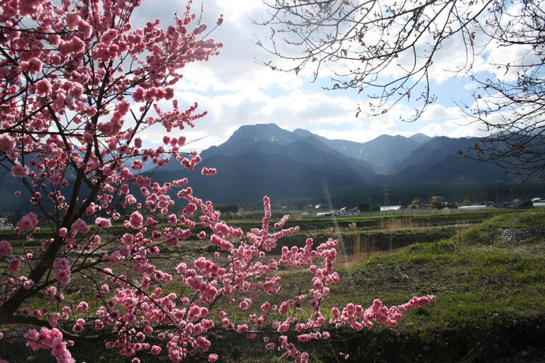 Others 3, Azumino Backpackers 山の風, Unknown3