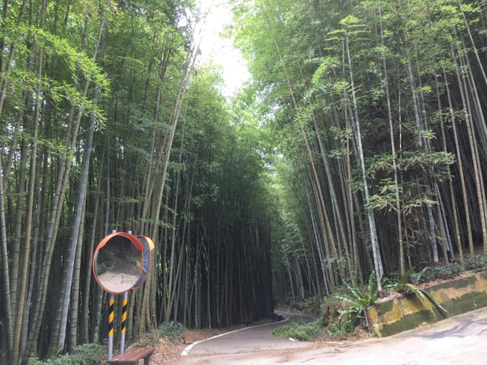 4, Youlin Homestay, Chiayi County