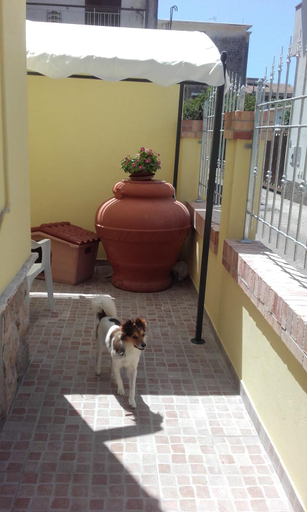 Others 5, B&B A casa di Antonella, Latina