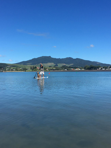 Others 4, Raglan Backpackers, Waikato