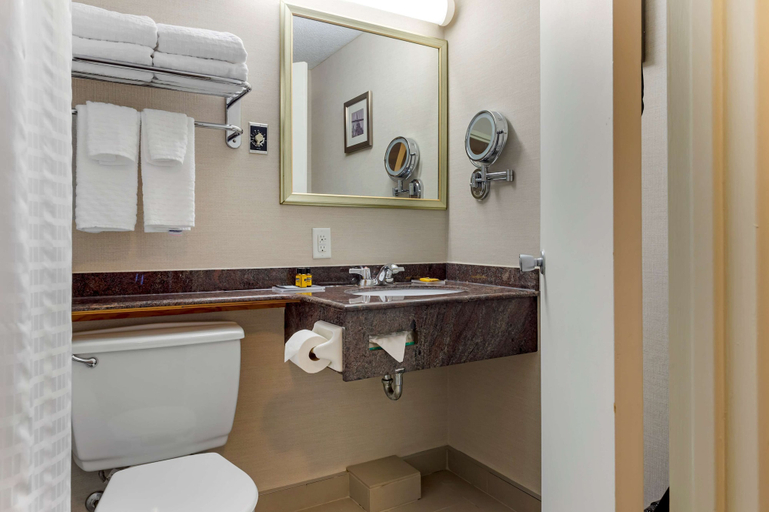 Bathroom 4, Best Western Plus Gatineau-Ottawa Downtown, Communauté-Urbaine-de-l'Outaouais