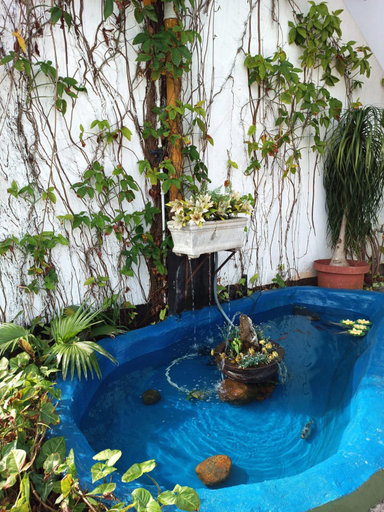 Sport & Beauty 2, Queensburgh B&B or Self Catering, eThekwini