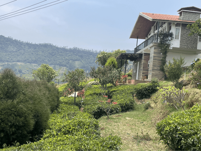 Others 4, Planters Punch, The Nilgiris