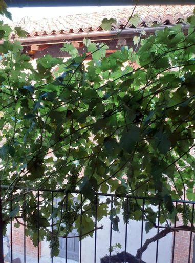 Exterior & Views 4, B&B Rumanot, Cuneo