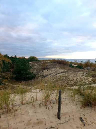 Beach 3, Lazur Park - Apartamenty, Gdańsk City
