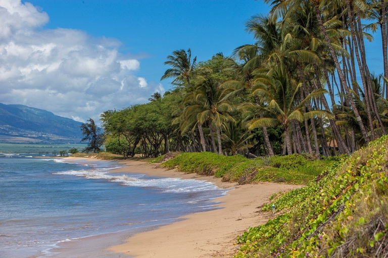 Beach 4, Koki Place 3 Bedroom Home, Maui