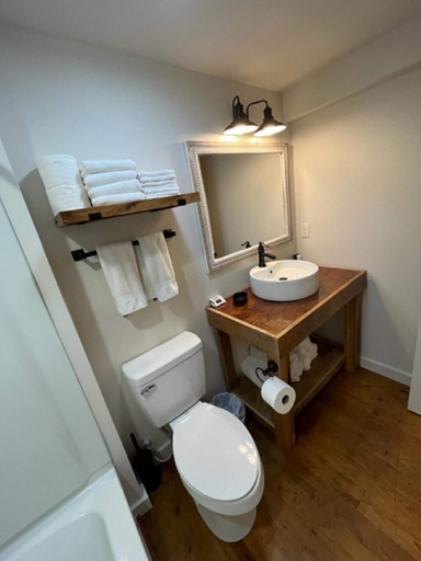 Bathroom, Greeter Falls Lodge Unit 2, Grundy