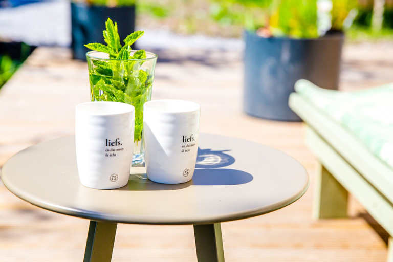 Food & Drinks 4, Waterlodge Goudule in Nes, Boarnsterhim