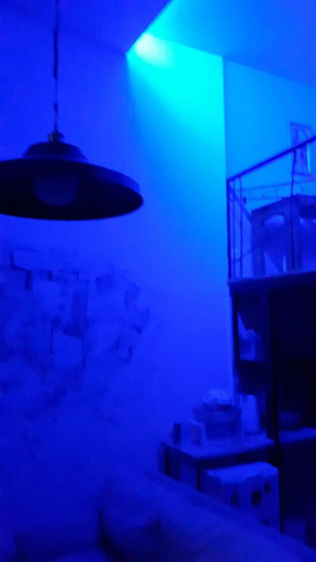 Others 3, Aquarium, Tbilisi