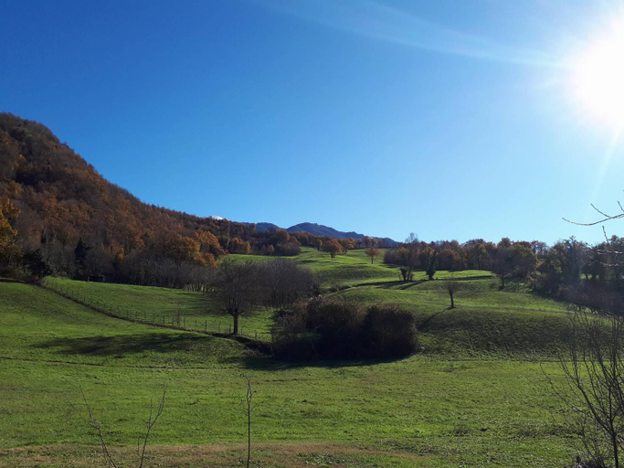 Others 4, Il Gelso Room&breakfast, Pesaro E Urbino