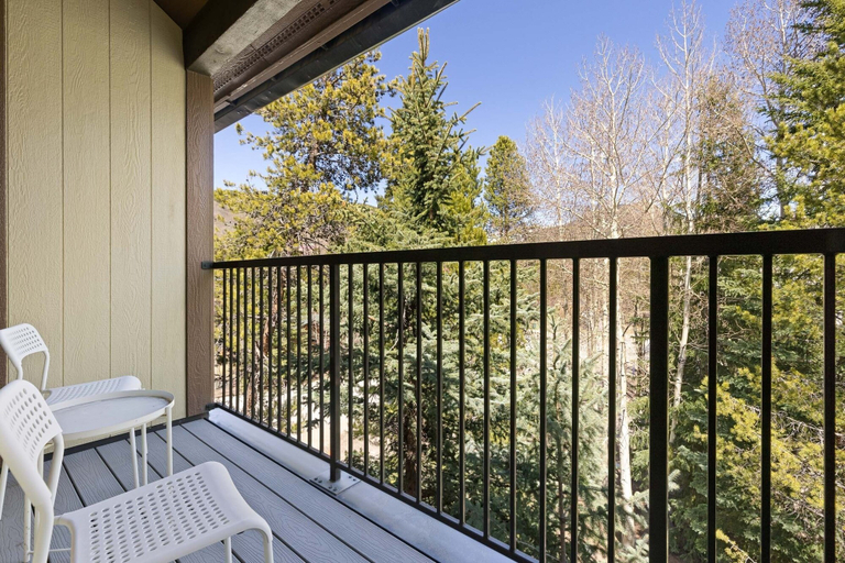 Others 3, 2767 Slopeside Condo by RedAwning, Summit