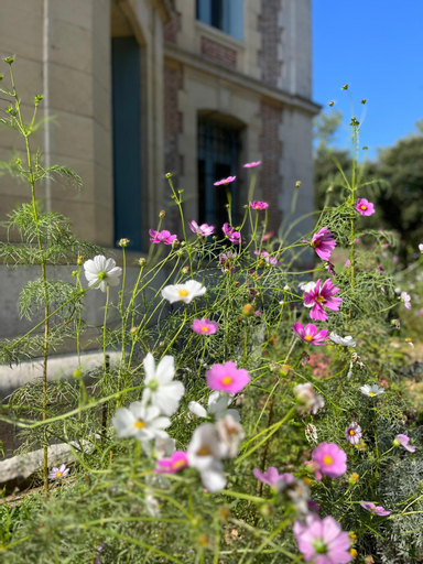 Enjoy summer at Chateau de Monbrison, apartment for four guests, Tarn-et-Garonne
