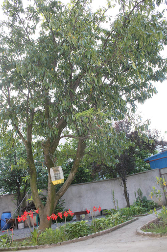 3, Iren Apartment, Batumi