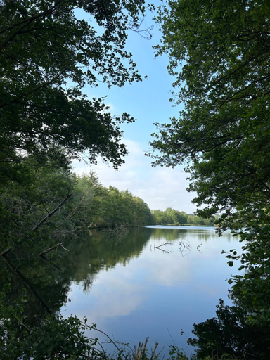 Others 2, l'abreuvoir de riviere, Somme