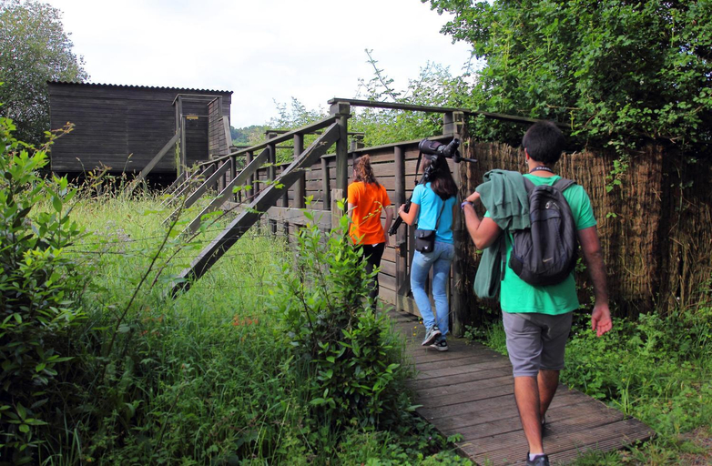 Others 5, Urdaibai Bird Center, Vizcaya