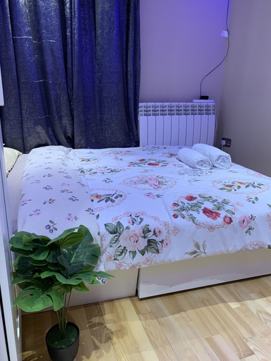 Others 4, Charming 2-bed Apartment in Kingston Upon Thames, London