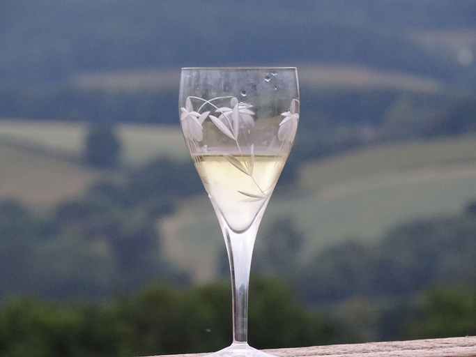 Food & Drinks, Outstandingly Situated Cosy Shepherds Hut, Gloucestershire