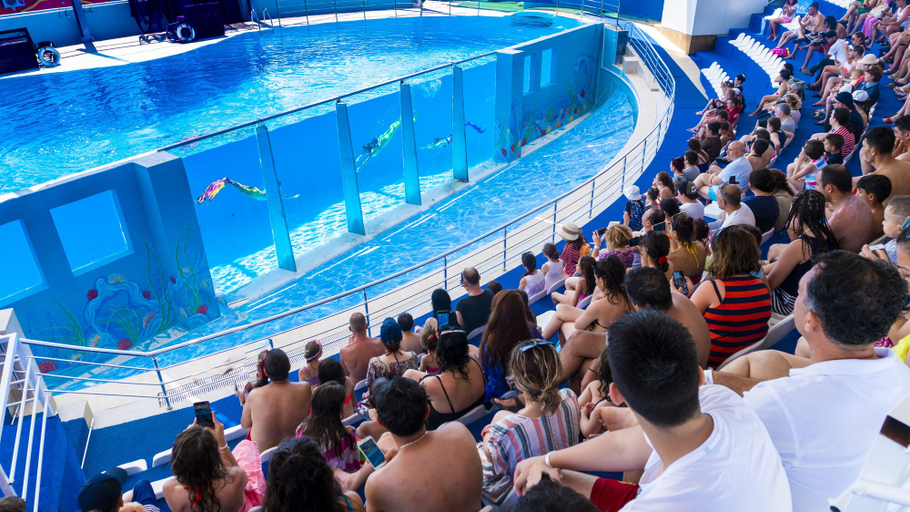 Sport & Beauty 3, Daima Biz Hotel - Dolusu Aquapark Access - All inclusive, Kemer