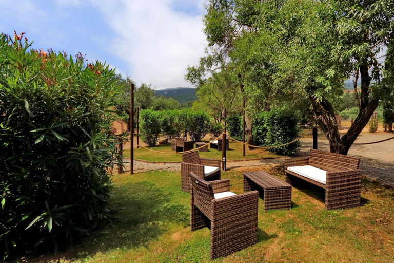 Room 3, Pimpinnacolo 1 - 1BR M2, Grosseto