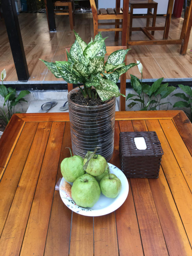 Others 5, Bebe homestay, Phú Quốc