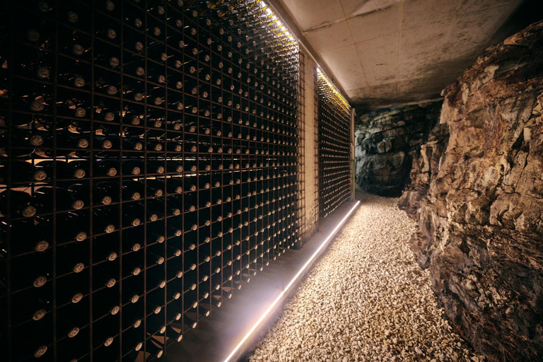 Others 5, Winery Cuj Bed & Breakfast, Umag