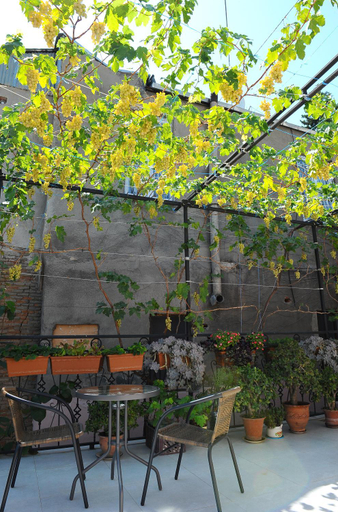 Others 4, Janika apartments, Tbilisi