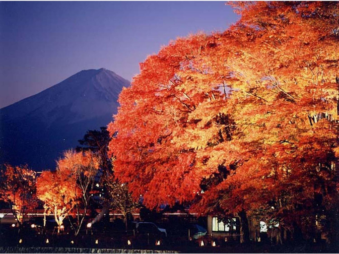 Others 5, Fujisan Resort Hotel, Fujikawaguchiko